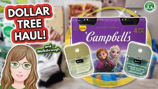 Vacation DOLLAR TREE Haul and Walkthrough Virginia Stores August 18 2026