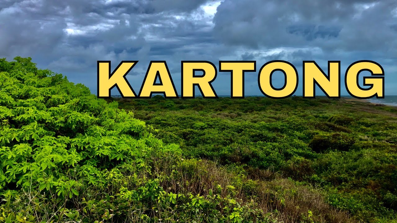 Kartong Village in The Gambia YouTube