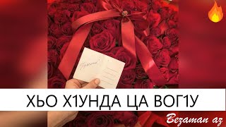 Хьо Х1унда Ца Вог1у💔