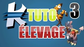 [Dofus] Tutoriel Élevage - Rendre une DD féconde (3/4)