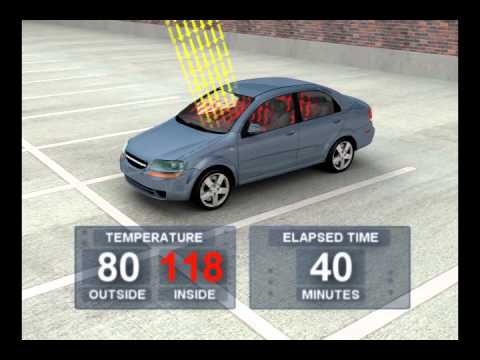 Temperature Inside Car Chart