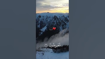 سورة الانبياء|القارئ ابراهيم الجبرين🎧Surah Al Anbya💔