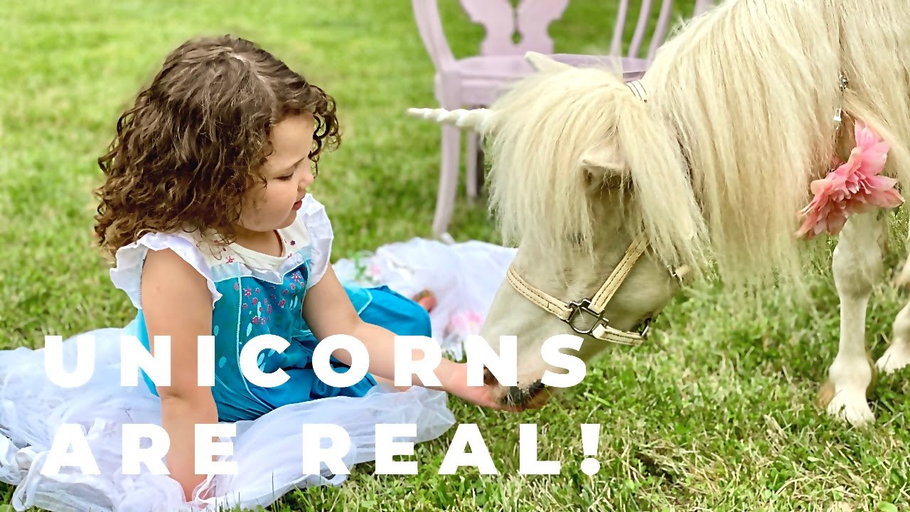 Unicorns ARE real! YouTube