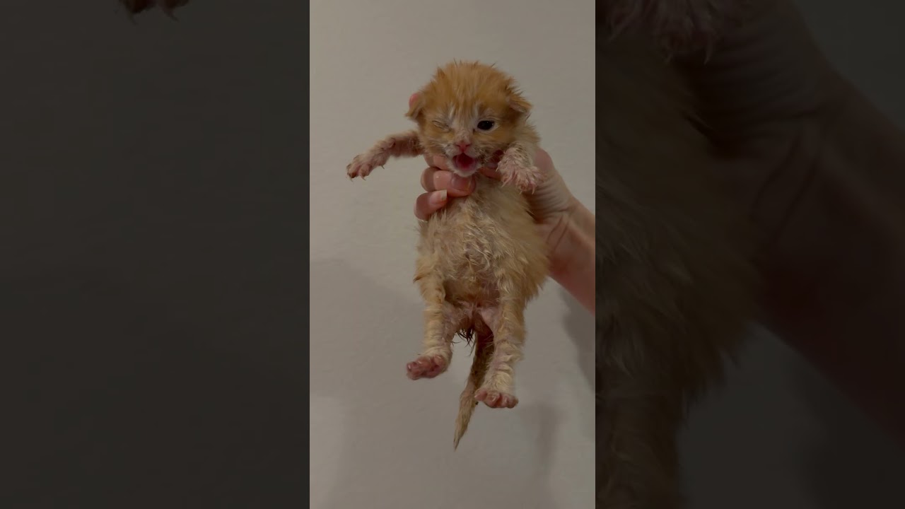 The glow up is real! 