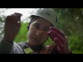 Inside the Fight to Save an Ancient Forest (and the Secrets it Holds) | Overview