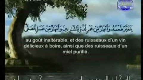 القرآن الكريم - الجزء السادس والعشرون (حـم)- الأحقاف - الشريم و السديس