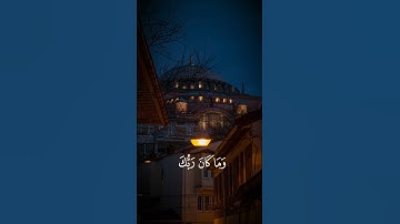 تلاوة طيبة للقارئ معاذ الدويك #quran