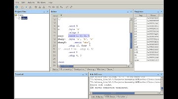 ARM Assembly Programming (using Intel Monitor Program). 6-skip and fill, vs. align