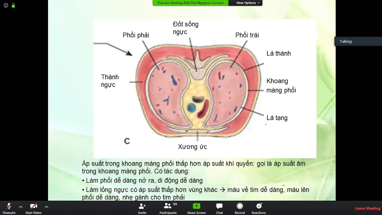 Sinh Lý Bệnh Hô Hấp