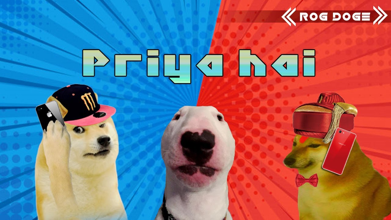 Priya Hai Cheems Funny Video | ROG DOGE