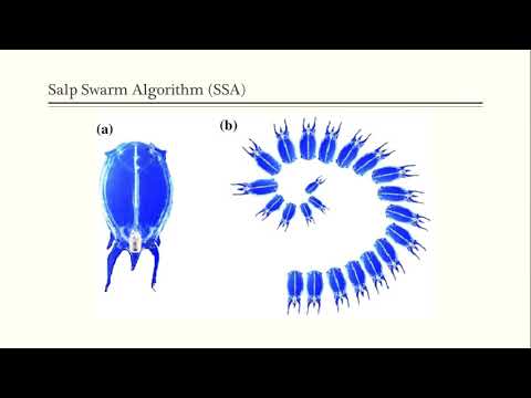 Salp swarm-inspired algorithm for parameters identification of photovoltaic cell models
