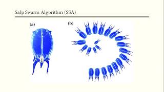 Salp swarm-inspired algorithm for parameters identification of photovoltaic cell models