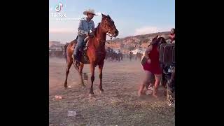 #trending #humor #sarcas #youtubeshorts #memes #sarcastic1 #elmundo #viral #horse #rodeo #mexico