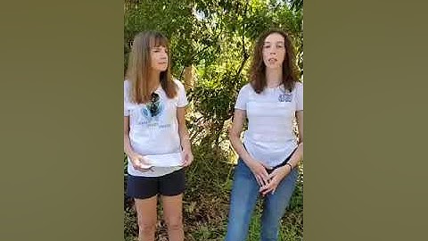 NatalieLoopInterview