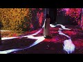 Teamlab continuity at the asian art museum