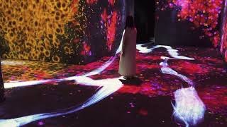 TeamLab's Turbo-Charged Art Playground Inaugurates the Asian Art
