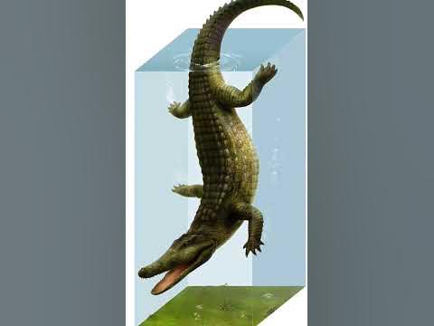 Самый древний предок всех Крокодилов #shorts #эволюция #крокодилы # ...