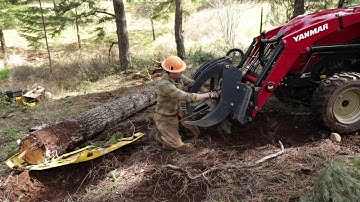How To Build A Single Log Bridge 2