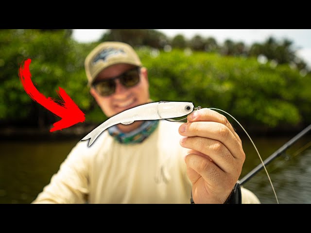 Big Snook, Jacks, and Tarpon! Fishing the NLBN Lil Mullet! (INSANE) 