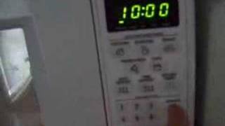 cd in the microwave