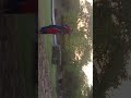 #shortvideo#viral#reels#song#trending#viral#youtube#viral#shorts#ooffical Prachi vlogs
