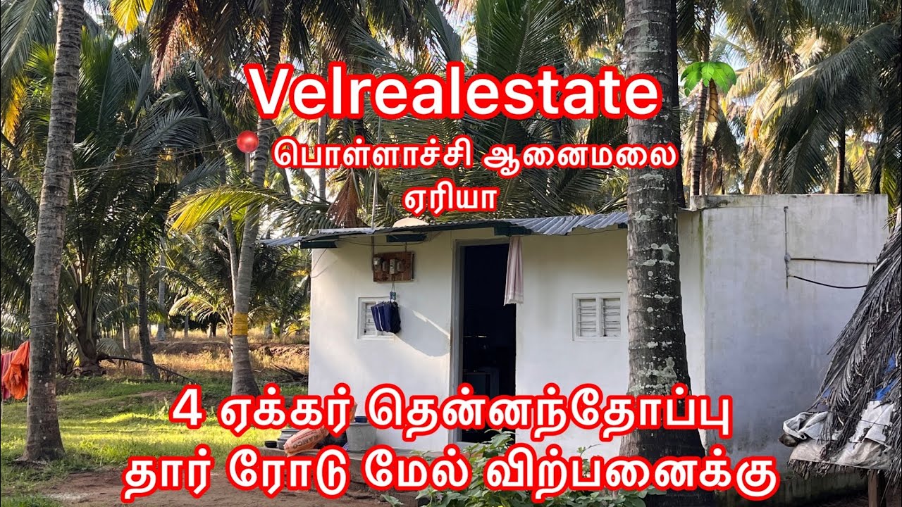 4 ஏக்கர் தென்னந்தோப்பு 🌴தார் ரோடு🛣️ மேல் விற்பனைக்கு💰#pollachi #realestatecoimbatore 
