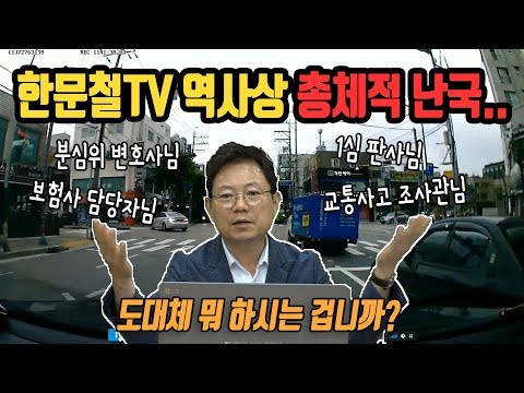 자동차보험사