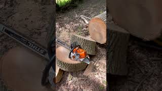 STIHL MS500i ❤️ #forestrylife #chainsaw #stihl #stihltimpersports