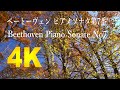 ベートーヴェン ピアノソナタ第7番 D major Op.10-3 #YvesNat