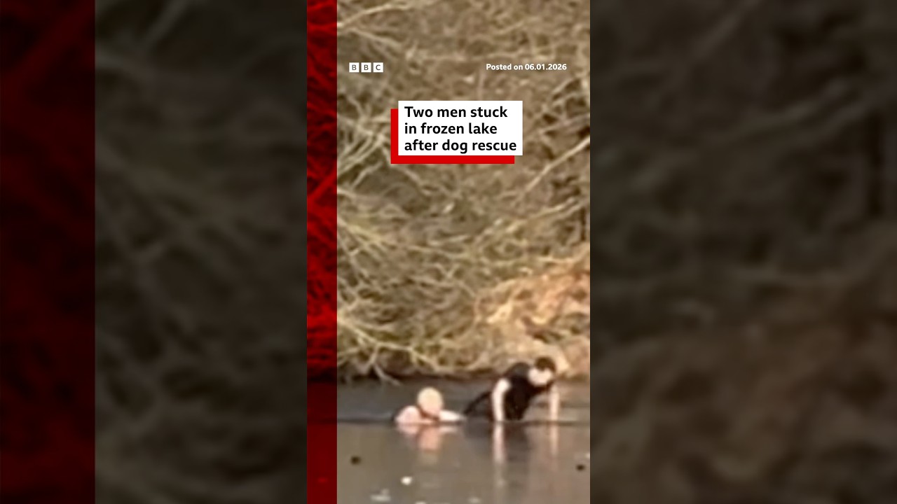 Two men got stuck in a frozen lake trying to rescue a dog. #BBCNews