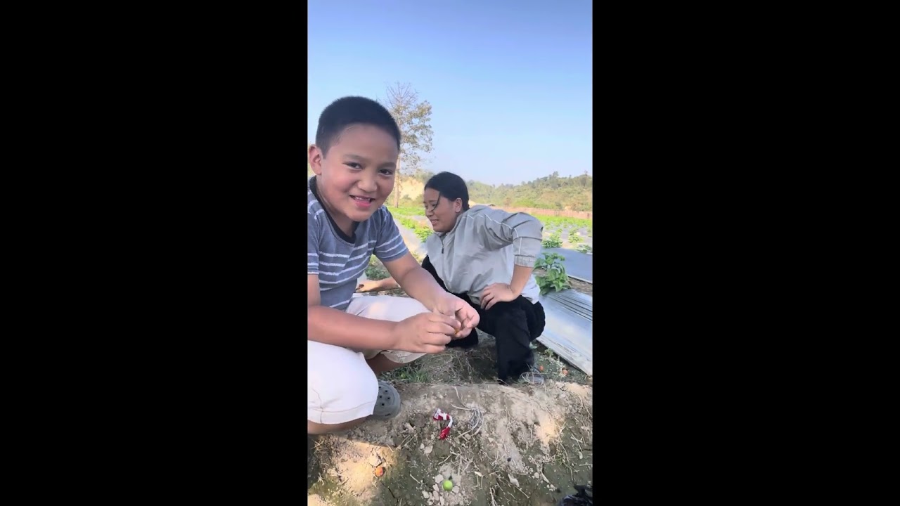 😆mini Bagan ￼￼