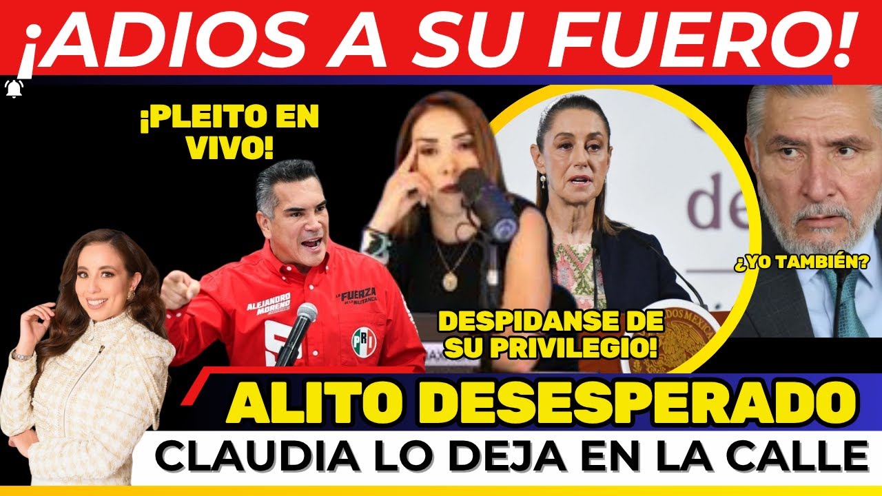 ¡ZARPAZO DE SHEINBAUM! SE LE ACABÓ EL FUERO A ALITO Y ADÁN AUGUSTO. PROPONE QUITAR EL FUERO A TODOS!