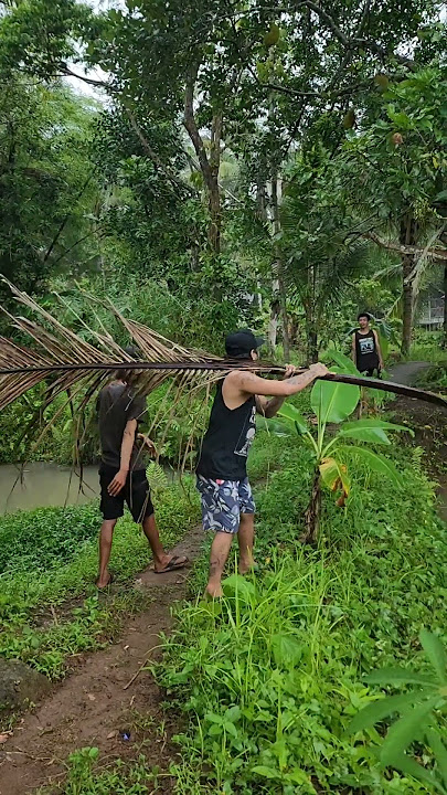 maaf gak sengaja