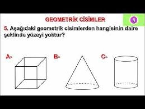 Video: Koninin kaç tane düz yüzeyi vardır?