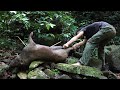 How to trap a big wild boar  survival instinct  nolan