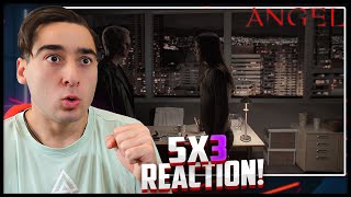 SPIKE'S GETTING WORSE! *Angel* 5x3 'Unleashed' Reaction!