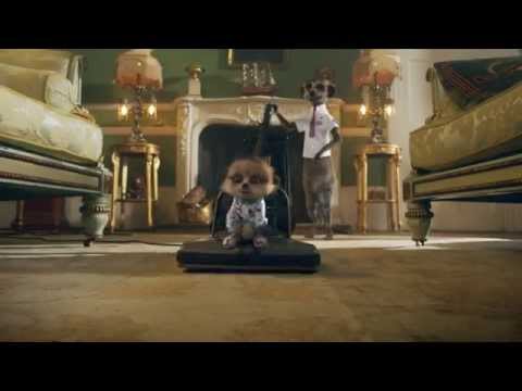 Compare the meerkat -- Daily life with Baby Oleg