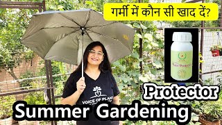 8 TIPS TO CARE PLANTS IN SUMMER/PLANT PROTECTOR गर्मी मे प्लांट को कैसे बचाये #garden #summer
