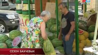 В Волгограде названы адреса, где купить арбуз и дыню можно без последствий для здоровья