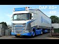 DAF XG FlevoPallets