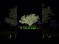 Spectacular Tree of Light at Draper City Park #viral #shorts #lights #nightlife #christmas #newyear