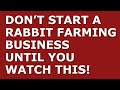 How to Start a Rabbit Farming Business | Free Rabbit Farming Business Plan Template Included