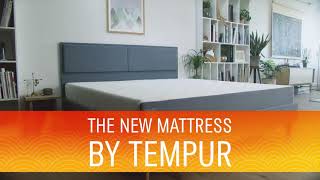 EASE by TEMPUR 20s