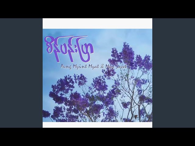 စိန်ပန်းပြာ