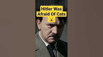 Adolf Hitler 5 Things You Didn