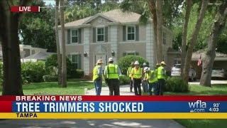 2 tree trimmers shocked by power lines in Tampa