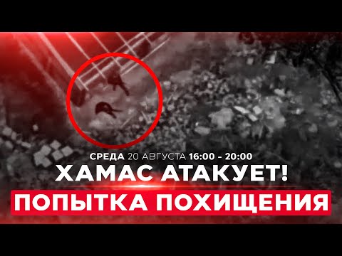 YouTube видео