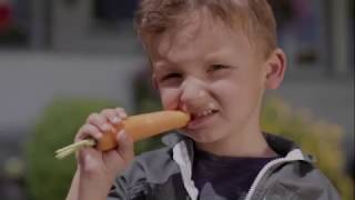 Fenaco Ruebli Film Volg Deutsch