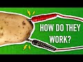 Understanding Popular Science Projects