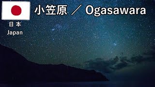 小笠原の旅その10　クジラと夕日を見て、星空とサメを見ます【無職旅／旅行記】